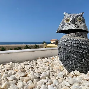 Vivienda Gorrión Morro Jable (Fuerteventura)